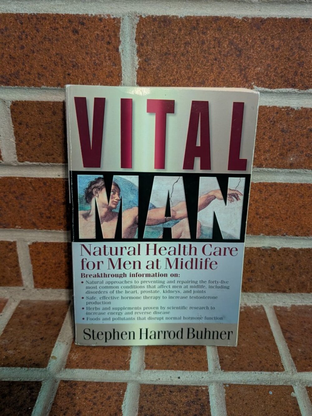 Vital Man Natural Health Care for Men at Midlife Stephen Harrod Buhner PB